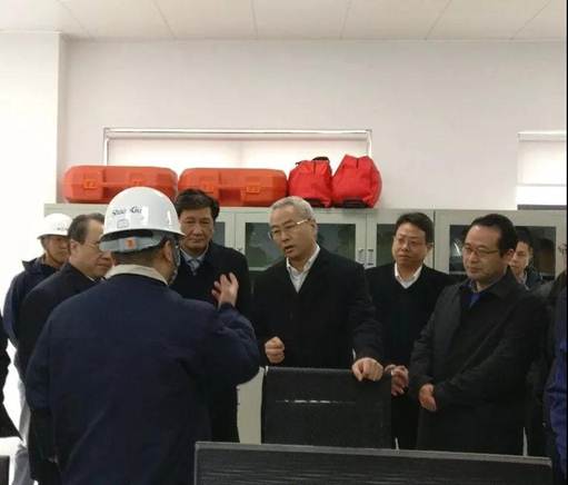 浙江省丽水市市长吴晓东前往浙江NG28能源开发有限公司调查调研