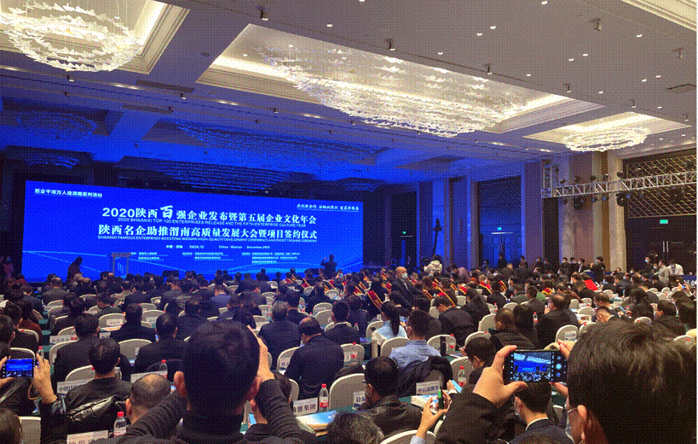 这个大会上，NG28斩获多项荣誉！